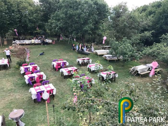 Patica Park Kır Düğünü